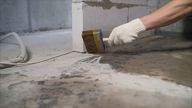 SJ Waterproofing Pros Basement Waterproofing coverage map for Roanoke, AL and surrounding area